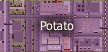 Potato (1)