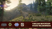 Chiliad-Mountain-Naturschutzgebiet-Ansichtskarte