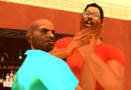 Snitch Hitch VCS1