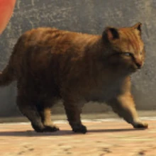 Katzen Gta Wiki Fandom