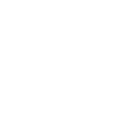 IconPerks temp1