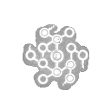 Bloodweb Dead By Roblox Wiki Fandom