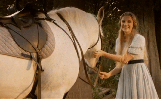 File:Reliving History.gif