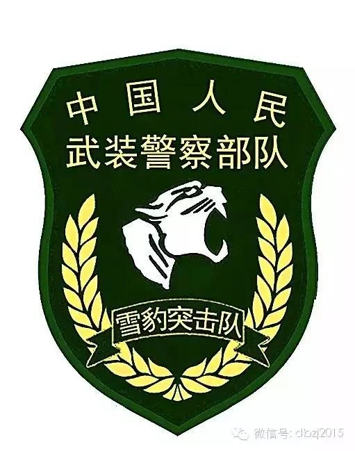 Snow Leopard Commando Unit | Deadliest Fiction Wiki | FANDOM powered by