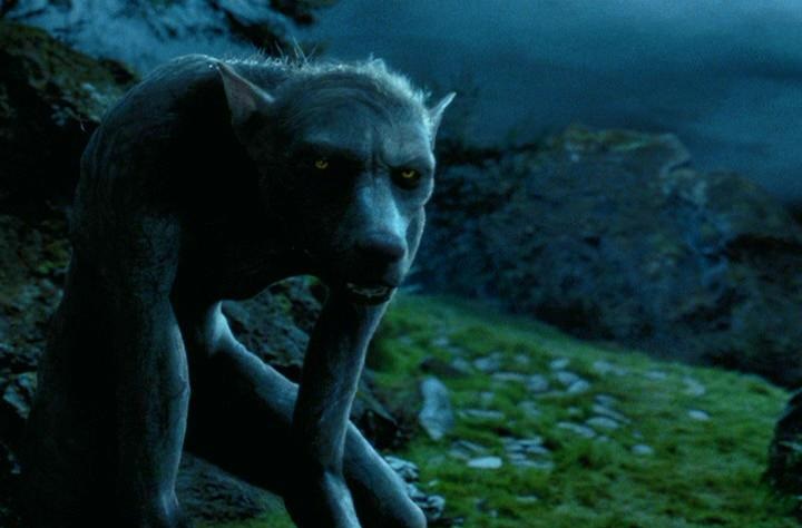 image-harry-potter-werewolf-jpg-deadliest-fiction-wiki-fandom