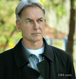 User blog:MilitaryBrat/Leroy Jethro Gibbs vs Martin Brody | Deadliest ...