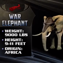 Elephant Deadliest Warrior Wiki Fandom