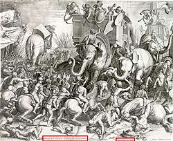 Elephant