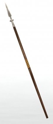 DW PirateWeapon04