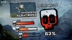 Ptp dr albatross
