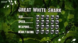 S3 DR great white