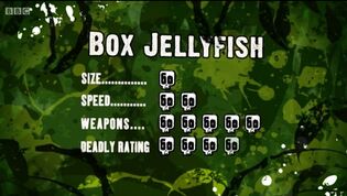 S3 DR box jellyfish