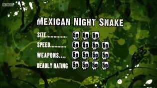 S3 DR night snake