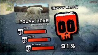 PTP DR polar bear