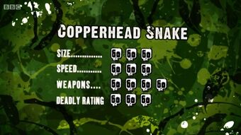 S3 DR copperhead