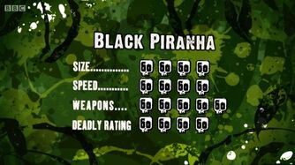 S3 DR black piranha