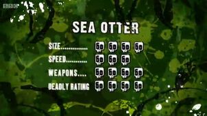 S3 DR sea otter