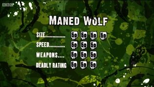 S3 DR maned wolf