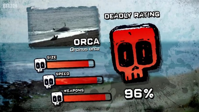 Orca | Deadly 60 Wiki | Fandom