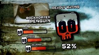 Ptp dr rockhopper