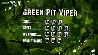 S3 DR green pit viper