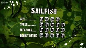 S3 DR sailfish