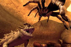 Tarantulavshornedlizard 02
