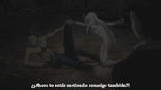 Senji nervioso