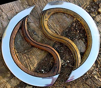 Super Chakram Split