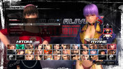 DOA5LR Costume Options