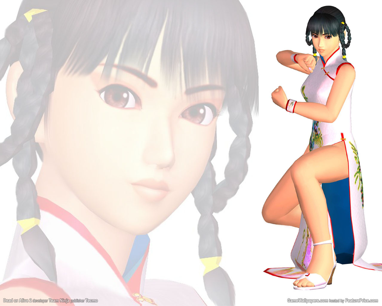 Image Doa2 Lei Fang Wallpaper Png Dead Or Alive Wiki Fandom