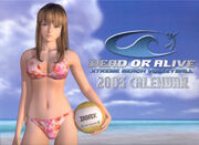 DOAX 2003 Calendar Front