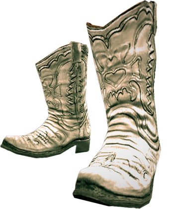 cowboy boots wiki