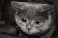 BlogImage 013