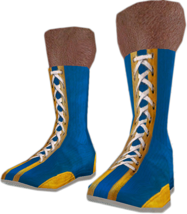 pro wrestling costume boots