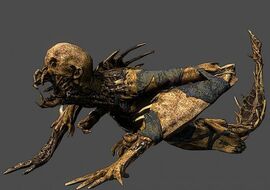 Leaper