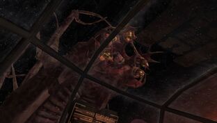 Extraction hive mind