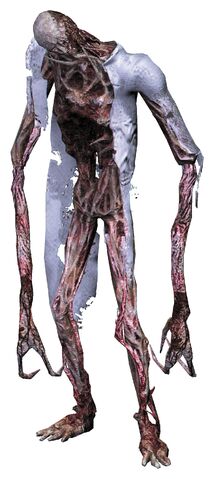 File:Divider-full-body.jpg