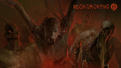 Necro preview