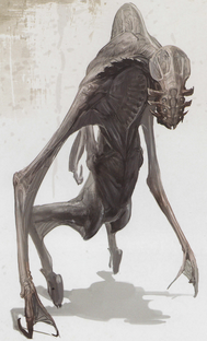 Tau volantis alien concept art