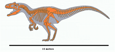 Saurophaganax1