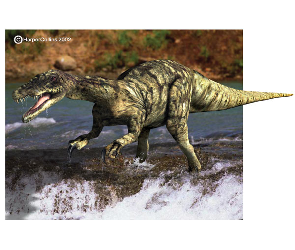 baryonyx fossil for sale