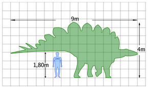 Download Stegosaurus | Prehistoric Wiki | FANDOM powered by Wikia