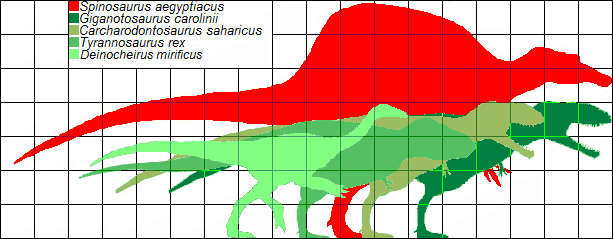 image scale of largest theropods by mass png prehistoric wiki carcharodontosaurus size