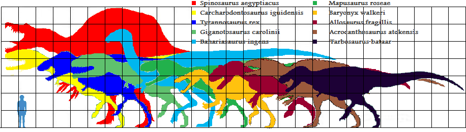 Image Largest Theropods 22png Prehistoric Wiki Fandom Powered By Wikia 