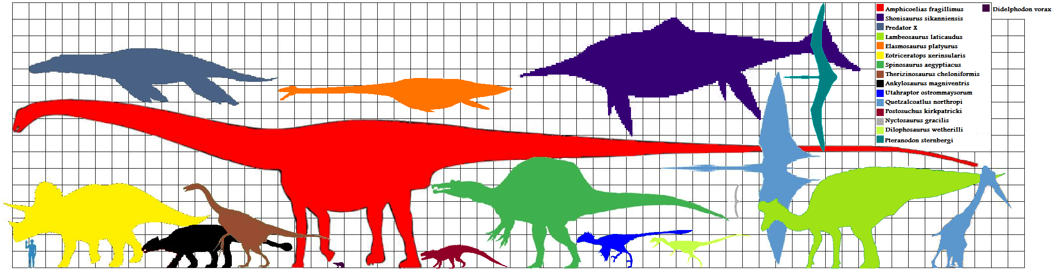 elasmosaurus prehistoric wiki fandom powered by wikia elasmosaurus size