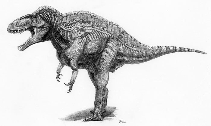 allosauroidea
