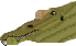Panzarin Spino head colour