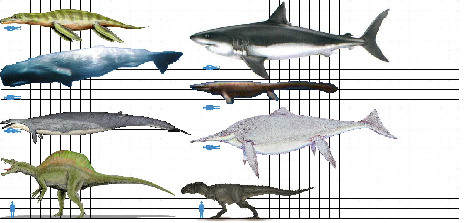 Image Largest Predators 2 png Prehistoric Wiki FANDOM Powered By image-largest-predators-2-png-prehistoric-wiki-fandom-powered-by