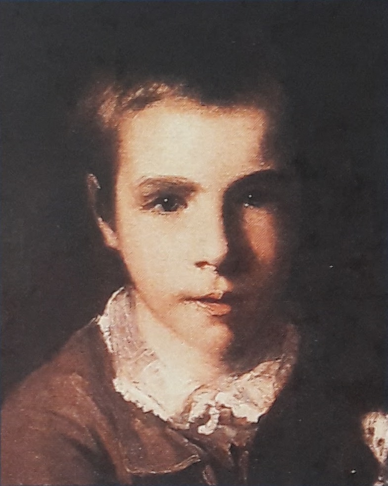 The Journal of William Thomas Emerson by Barry Denenberg